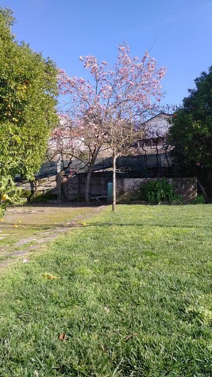 Casa Das Vendas Buitenkant foto